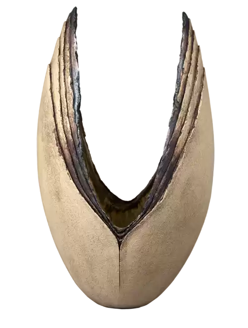 ian_harris_png.webp