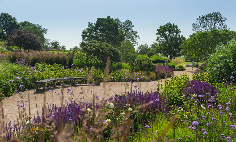 RHS Garden Hyde Hall