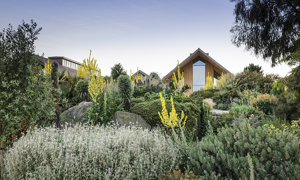RHS Garden Hyde Hall